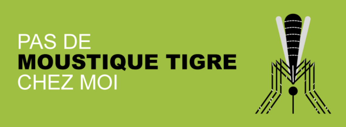 Image - moustiques_tigres.png