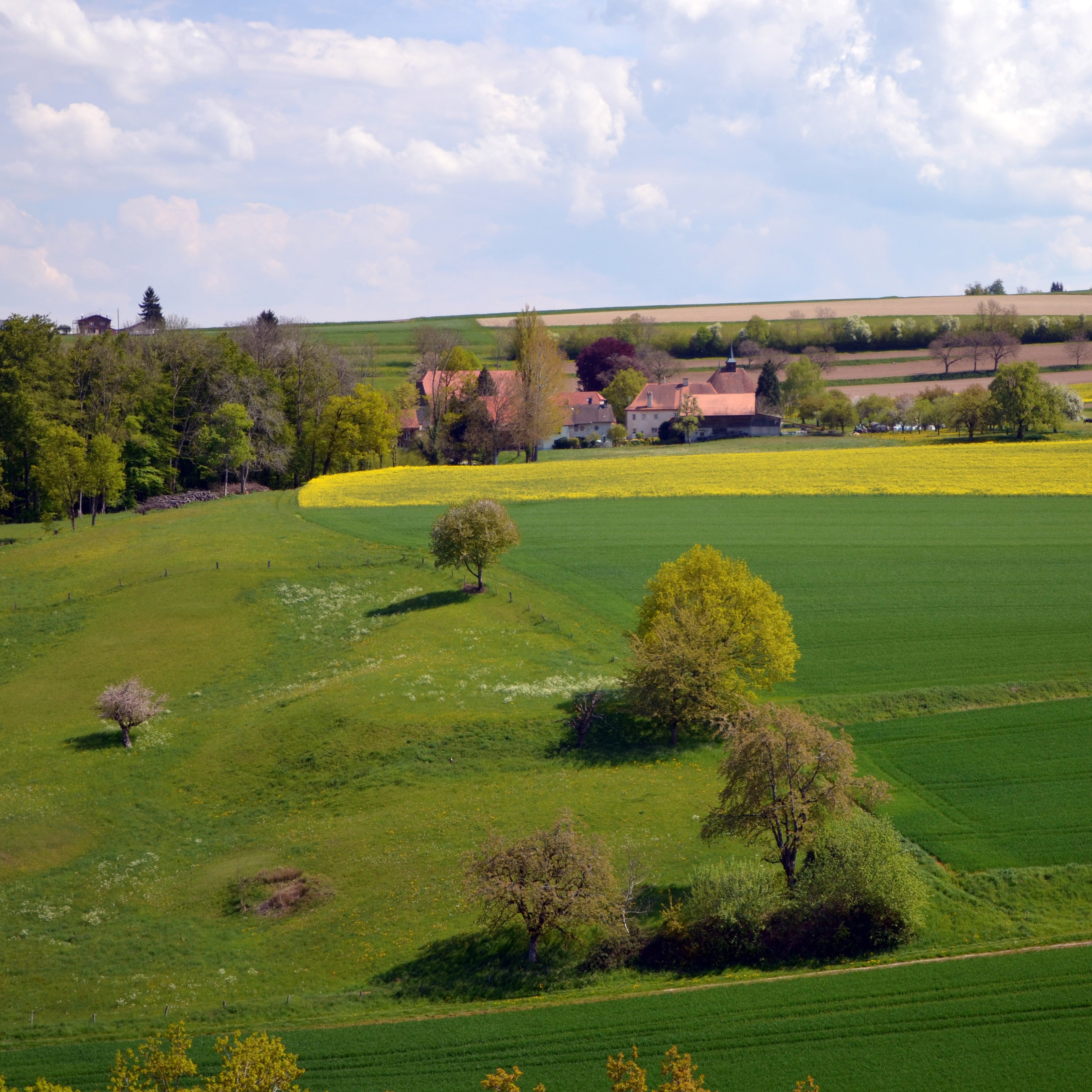 Image - Chene-Paquier_depuis_la_tour_Saint-Martin-du-Chene_1x1.jpg