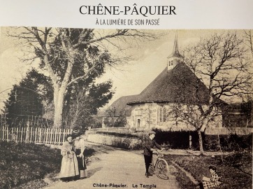 Image - old_image_chene_paquier.jpeg