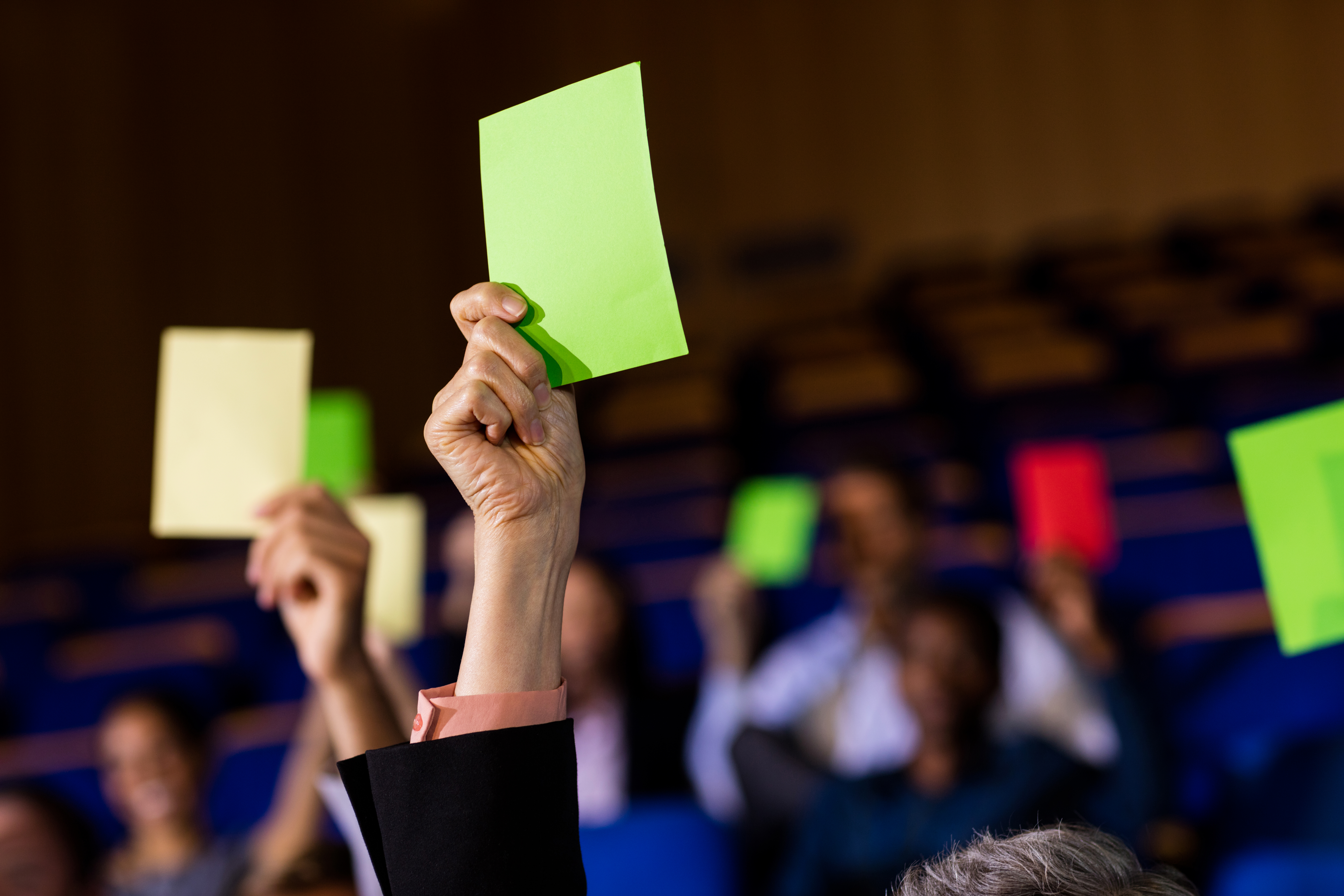Image - assemblee.jpg