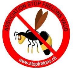Image - frelons.jpg