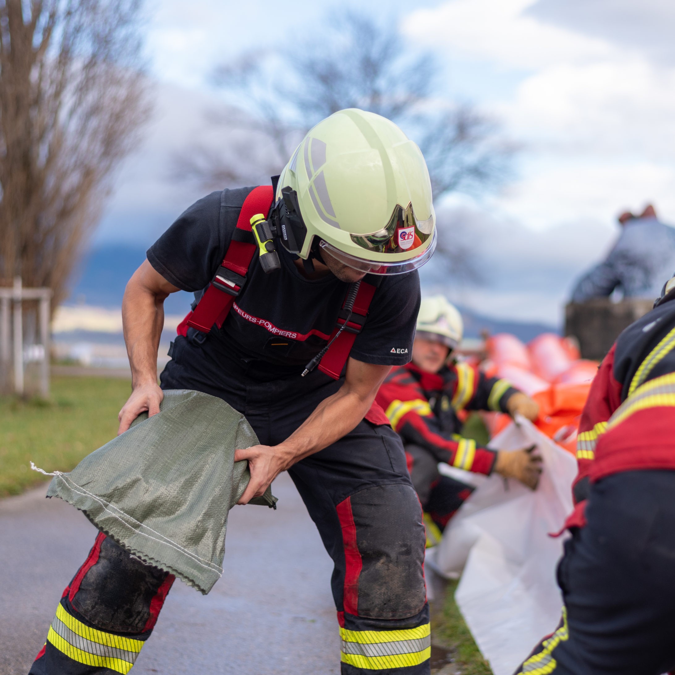 Image - DSC_0081-scaled_1x1.jpg