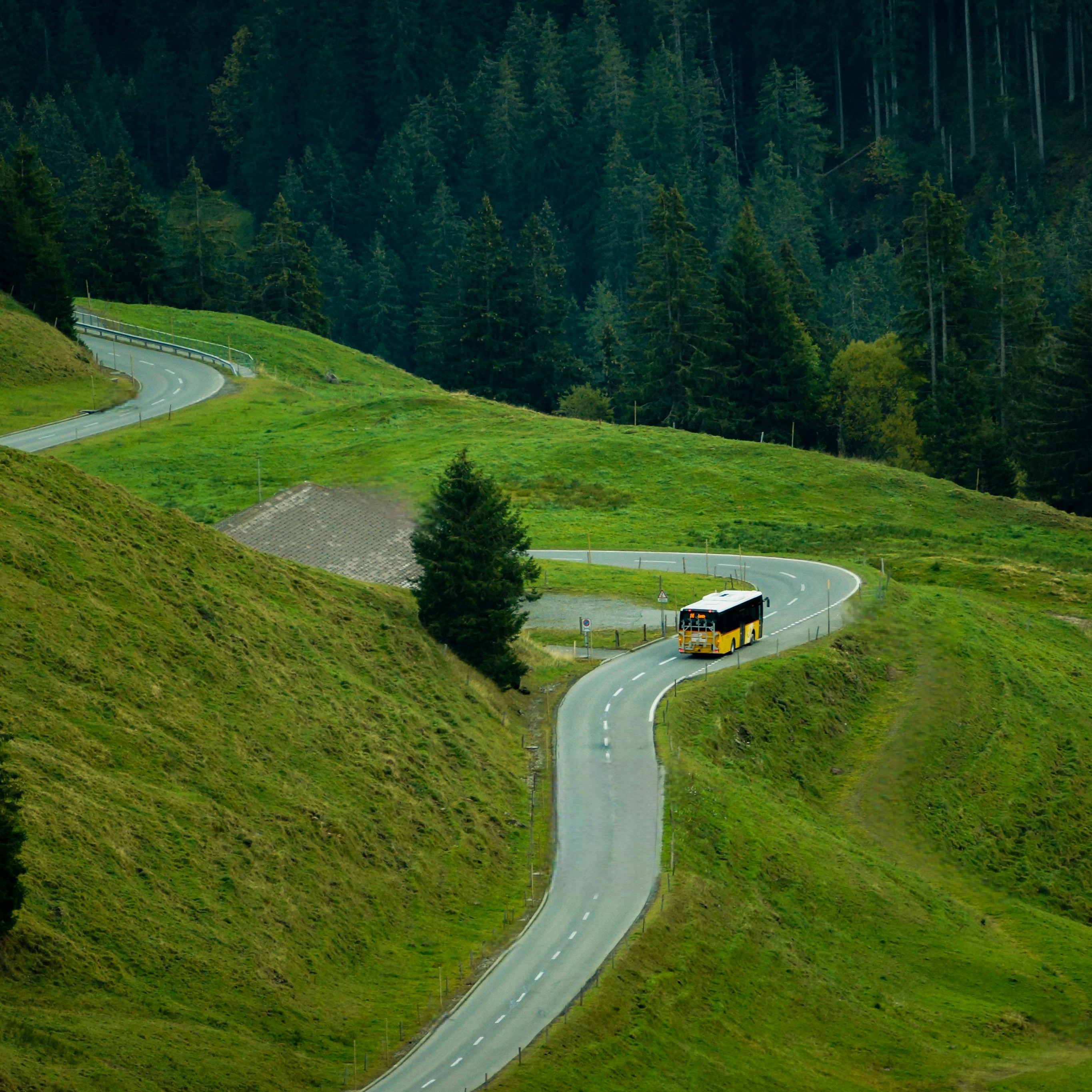 Image - pexels-sajad-isz-609617520-19105532_1x1.jpg